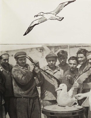 [Михайлов Н.Н., автограф] Михайлов Н.Н. С планетой вместе. М.: Советская Россия, 1966.